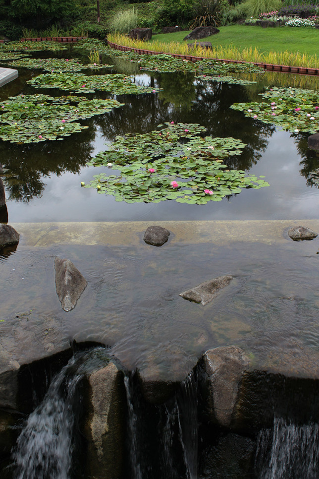 2015.8 水性植物園